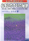 �S�����₷41�̔錍