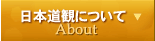 日本道観について