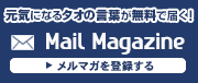 メールマガジン