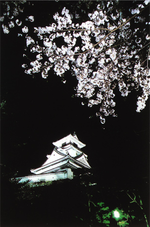 A night view of Kochi Castle